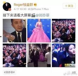 刘亦菲卓伟最新爆料,揭秘明星背后的真相与争议  第2张