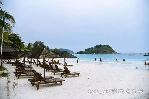 海岛电影在线观看,在线畅享绝美海岛电影之旅  第2张