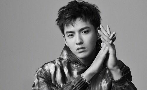 娱乐圈吃瓜群龚俊是谁,娱乐圈吃瓜群中的璀璨明星  第2张