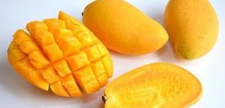 蛋仔芒果爆料视频 第2张 蛋仔芒果爆料视频 第2张