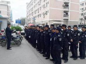 交警爆料失踪案件最新消息,交警披露关键线索，案情再掀波澜