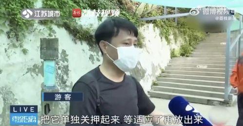网红结婚被吃瓜的是谁,吃瓜群众纷纷围观