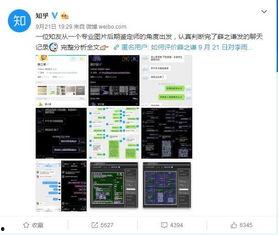 视频爆料一般在哪,副标题撰写技巧