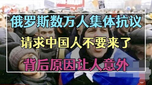 中国人要来了在线观看,跨国友谊的温暖篇章  第3张