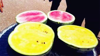 2025最新大瓜爆料,揭秘娱乐圈惊天秘密与惊人内幕  第2张