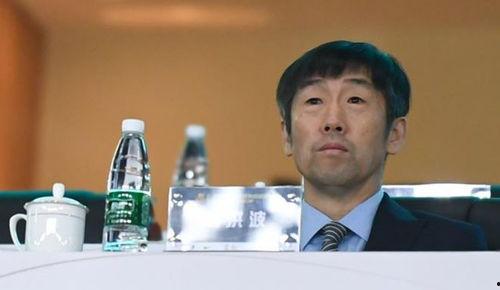 冉雄飞最新爆料高洪波,冉雄飞揭秘背后真相