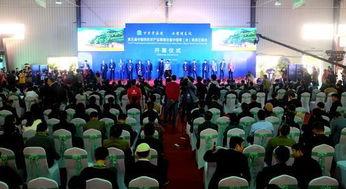 湖北新闻热点爆料最新,最新爆料揭示惊人真相