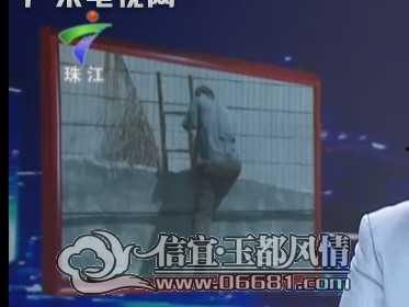 今日关注爆料视频最新,最新爆料视频深度解析