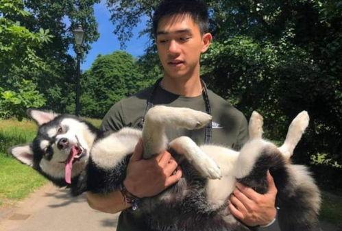 爆料男艺人养狗视频,揭秘男艺人真实养狗日常